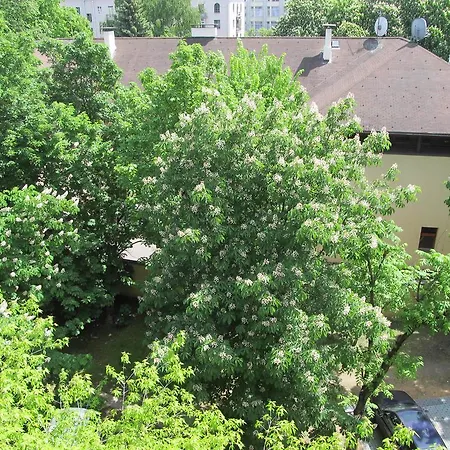 Apartament In The Center *